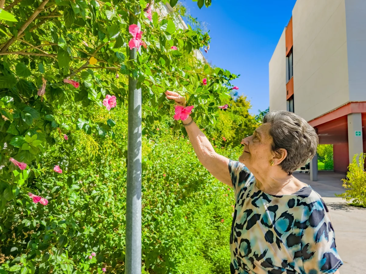 Vitalia Kansas: El nuevo paradigma de la rehabilitación y el cuidado en el corazón de Sevilla