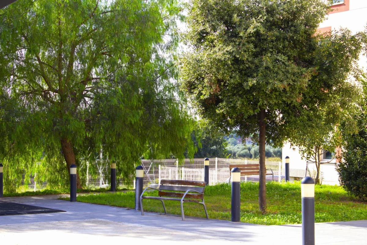 Disfruta al aire libre de las actividades de la residencia de mayores Vitalia Llorenc