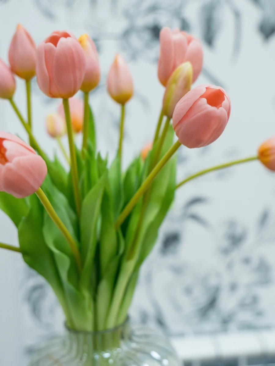  La X feria del mayor de Gandía cierra con un éxito rotundo y Vitalia como protagonista del bienestar