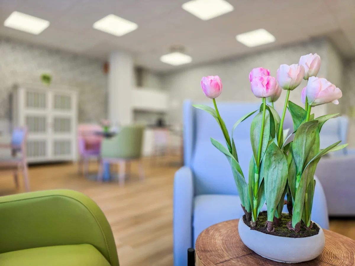  La X feria del mayor de Gandía cierra con un éxito rotundo y Vitalia como protagonista del bienestar