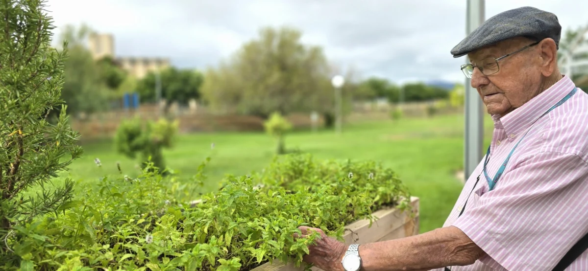 actividades al aire libre en la residencia de mayores de vitalia cariñena