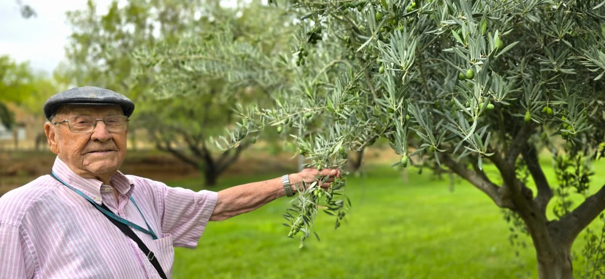 Los mejores jardines de residencias de mayores en vitalia cariñena