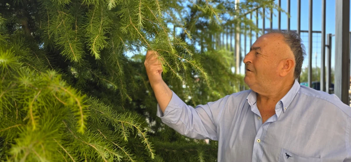 Grandes jardines y terrazas en la residencia de mayores de Vitalia San clemente