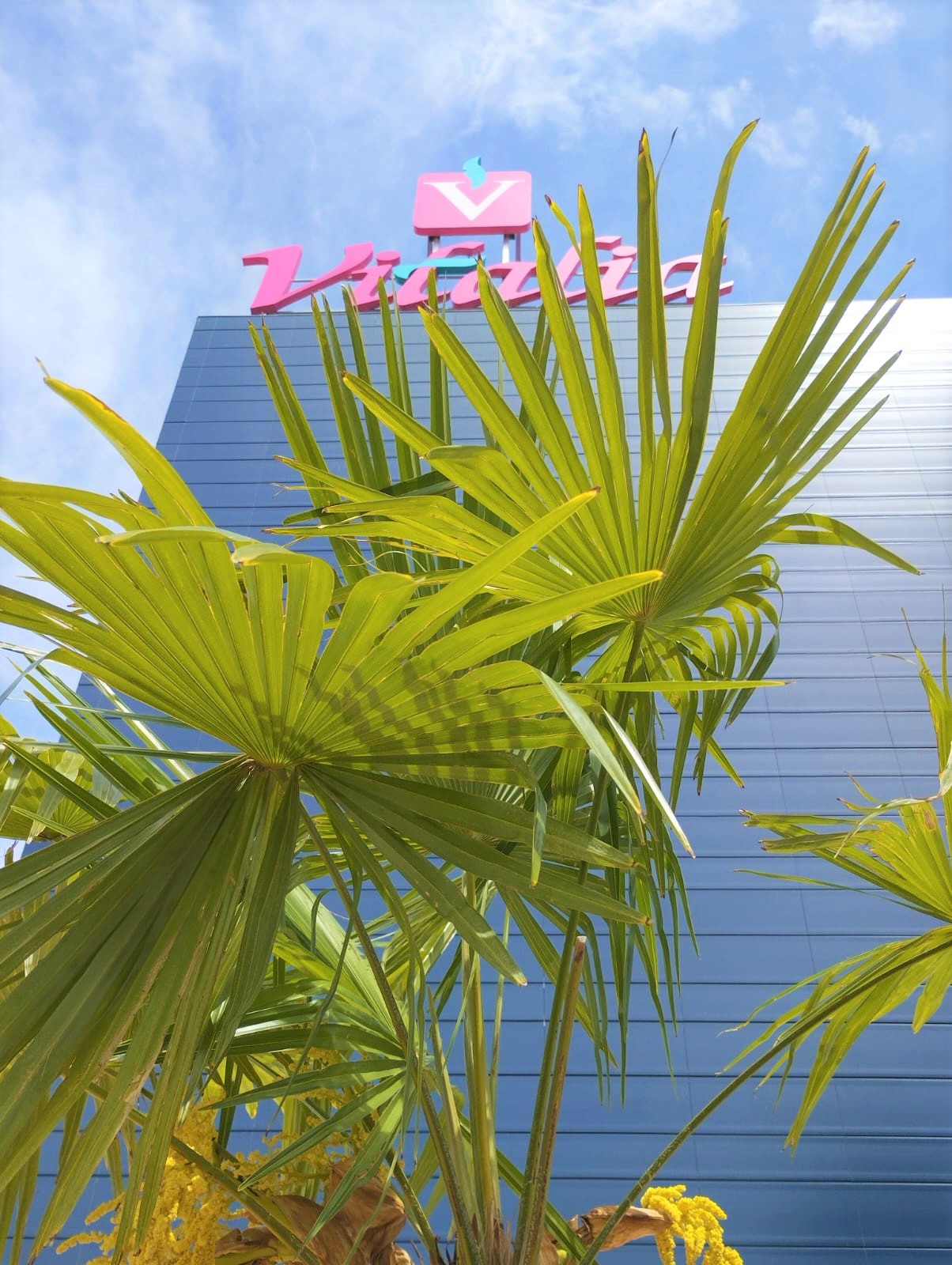 Puertas abiertas en Vitalia Alcorcón, un innovador centro de mayores en Madrid