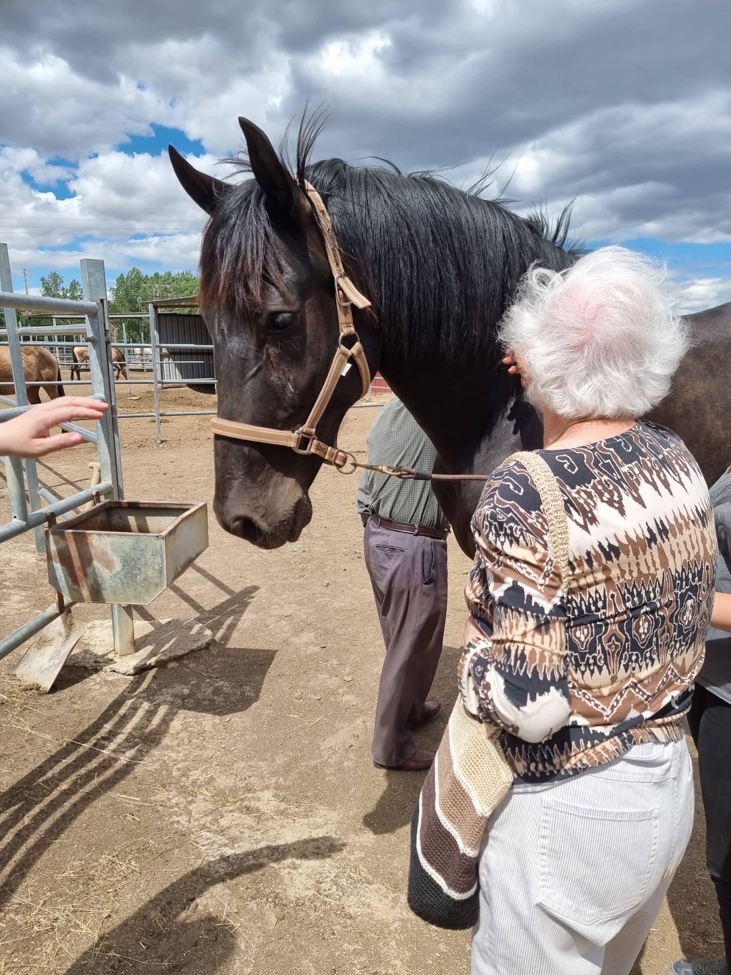 Vitalia entrega el primer premio del concurso nacional de hípica de doma clásica