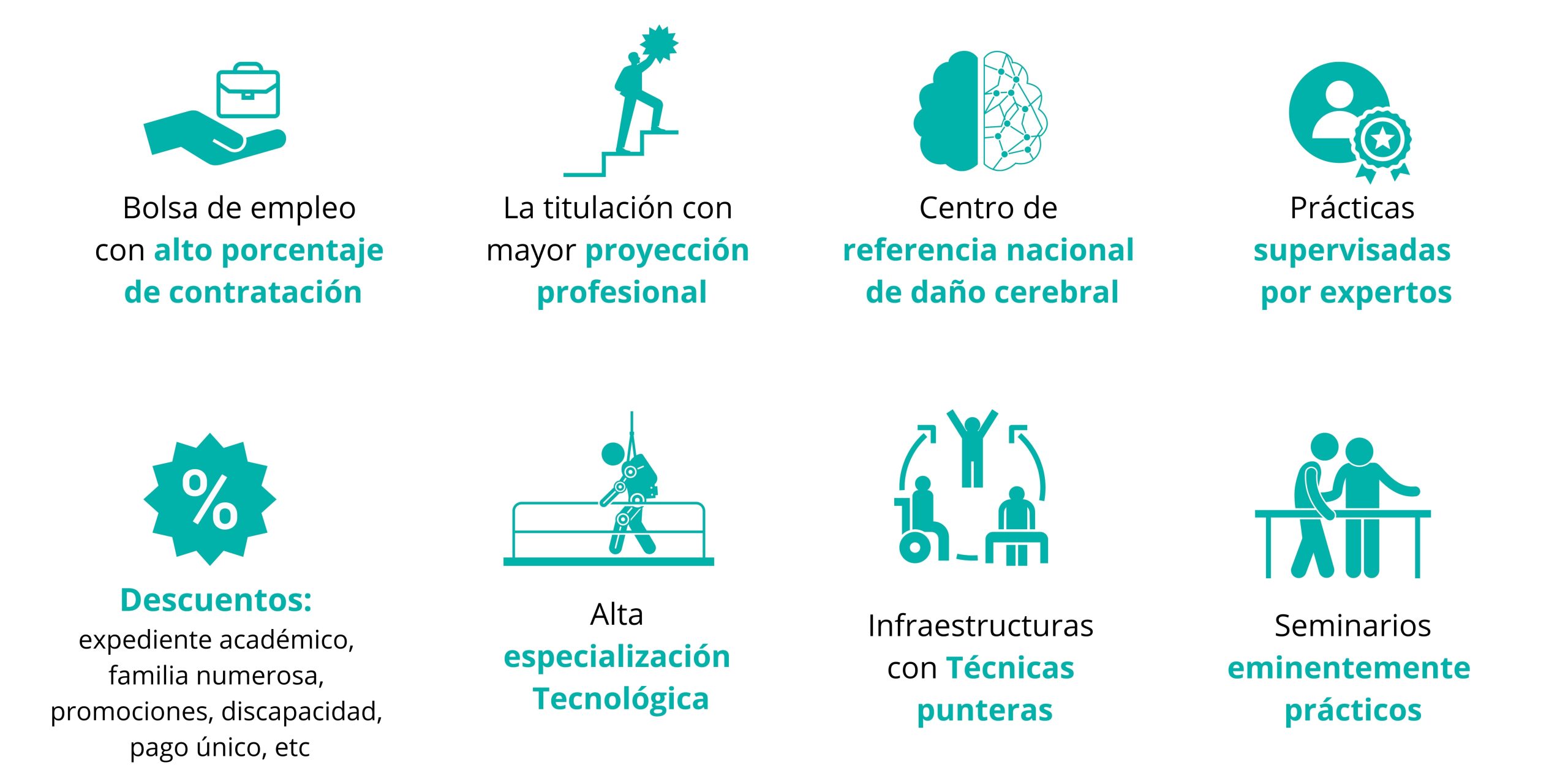 Equinoterapia, una experiencia transformadora para los alumnos del máster de fisioterapia y terapia ocupacional del Hospital San Vicente