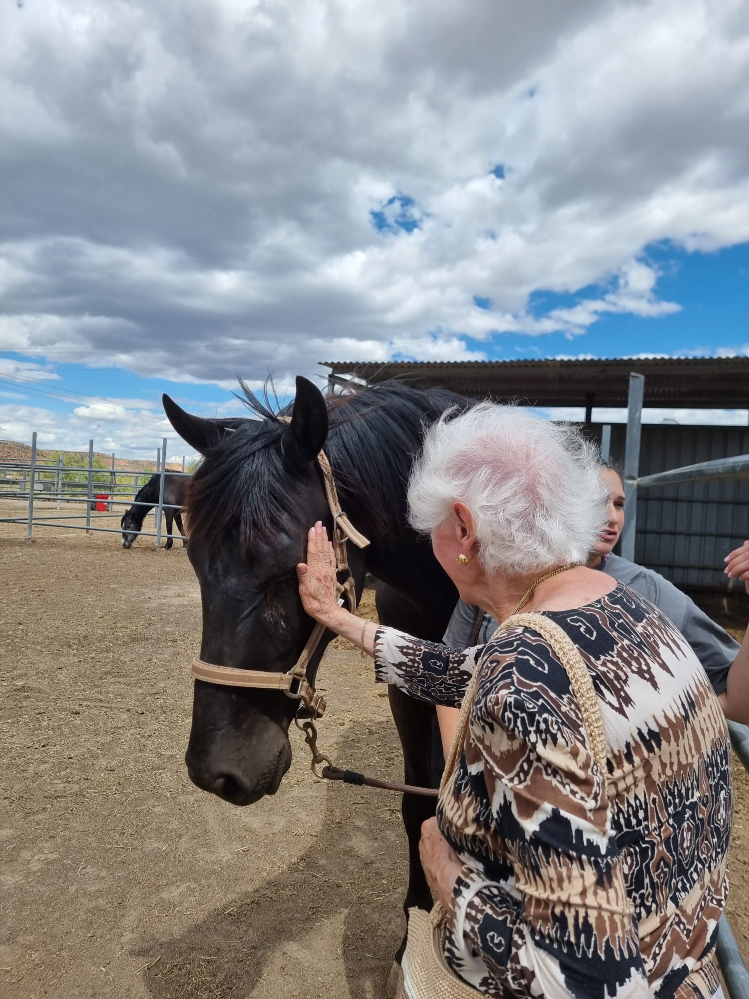 Vitalia entrega el primer premio del concurso nacional de hípica de doma clásica