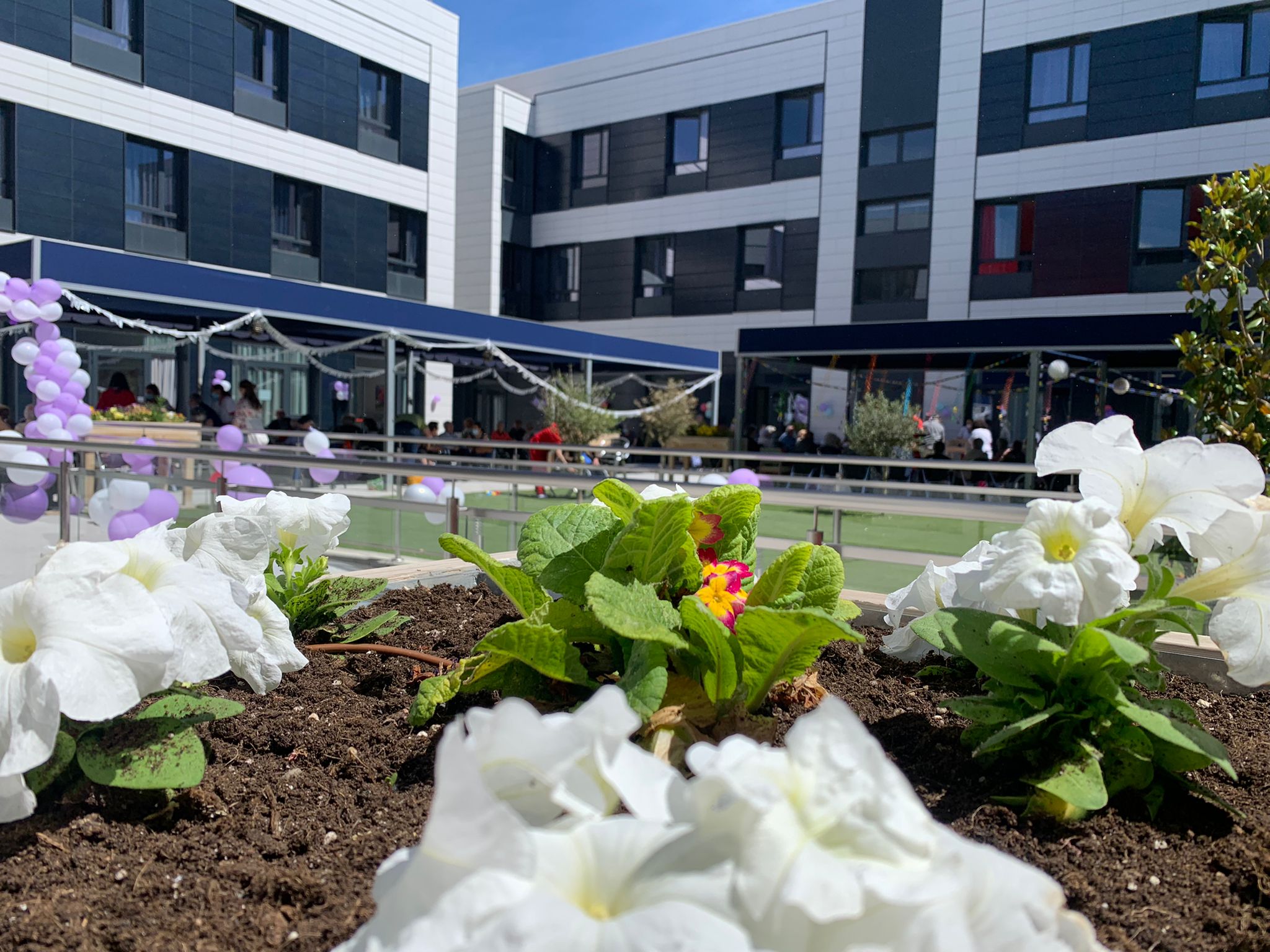 ¿Por qué el modelo residencial de Vitalia es uno de los líderes dentro del sector?