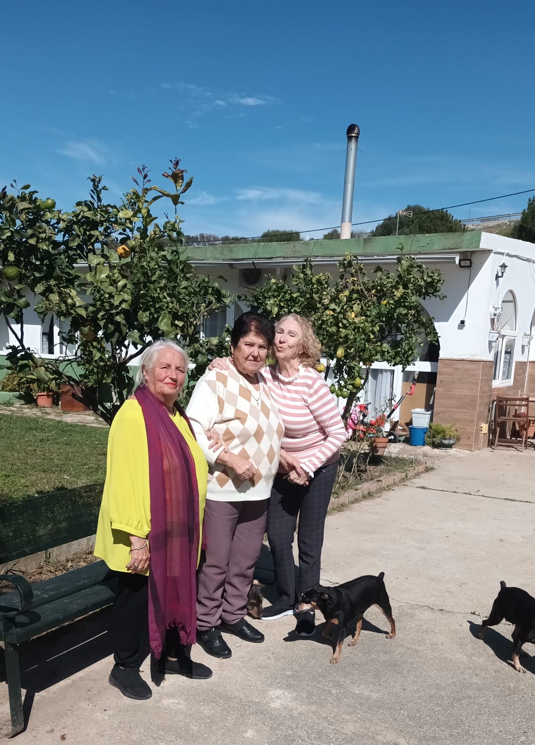 El tutor personal, esencial en el modelo Casas para Vivir