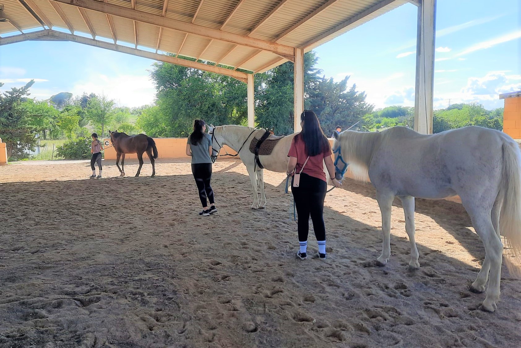 Equinoterapia, una experiencia transformadora para los alumnos del máster de fisioterapia y terapia ocupacional del Hospital San Vicente