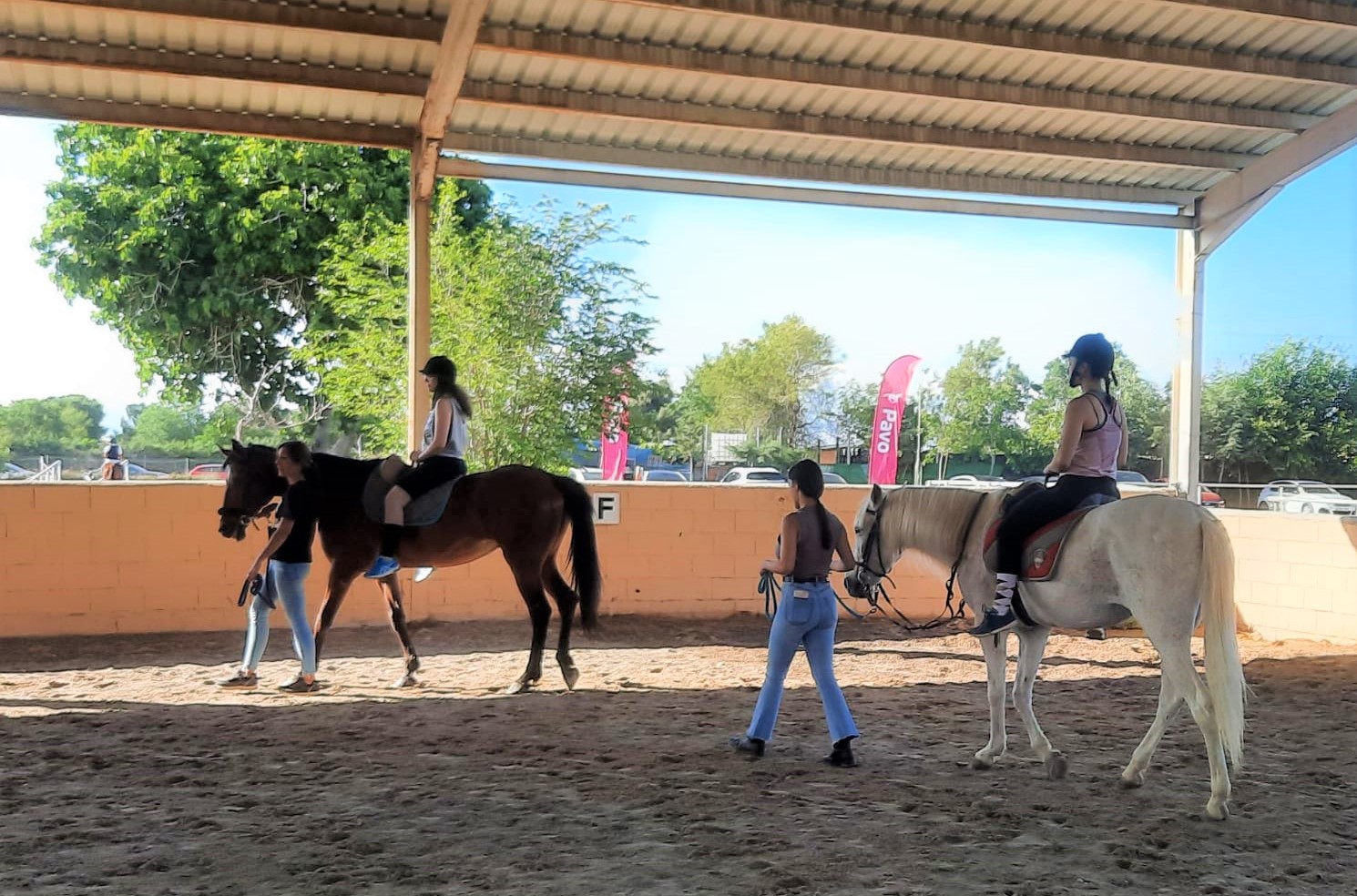 Equinoterapia, una experiencia transformadora para los alumnos del máster de fisioterapia y terapia ocupacional del Hospital San Vicente