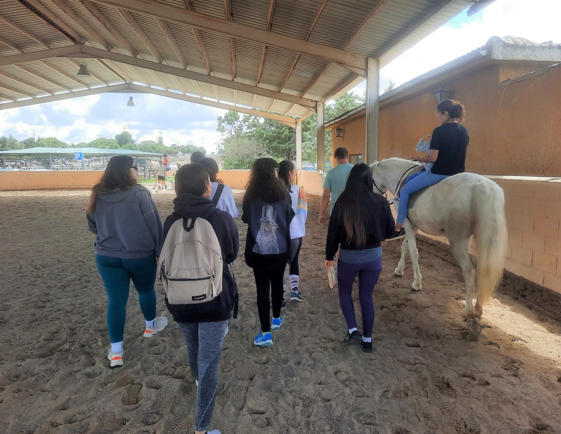 Equinoterapia, una experiencia transformadora para los alumnos del máster de fisioterapia y terapia ocupacional del Hospital San Vicente