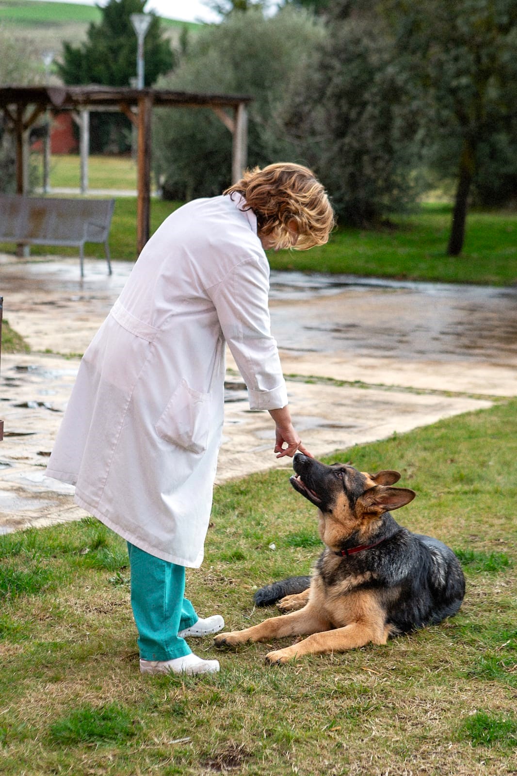 Bifo, la pata que le faltaba a Vitalia Jardín ¡El poder curativo del amor!