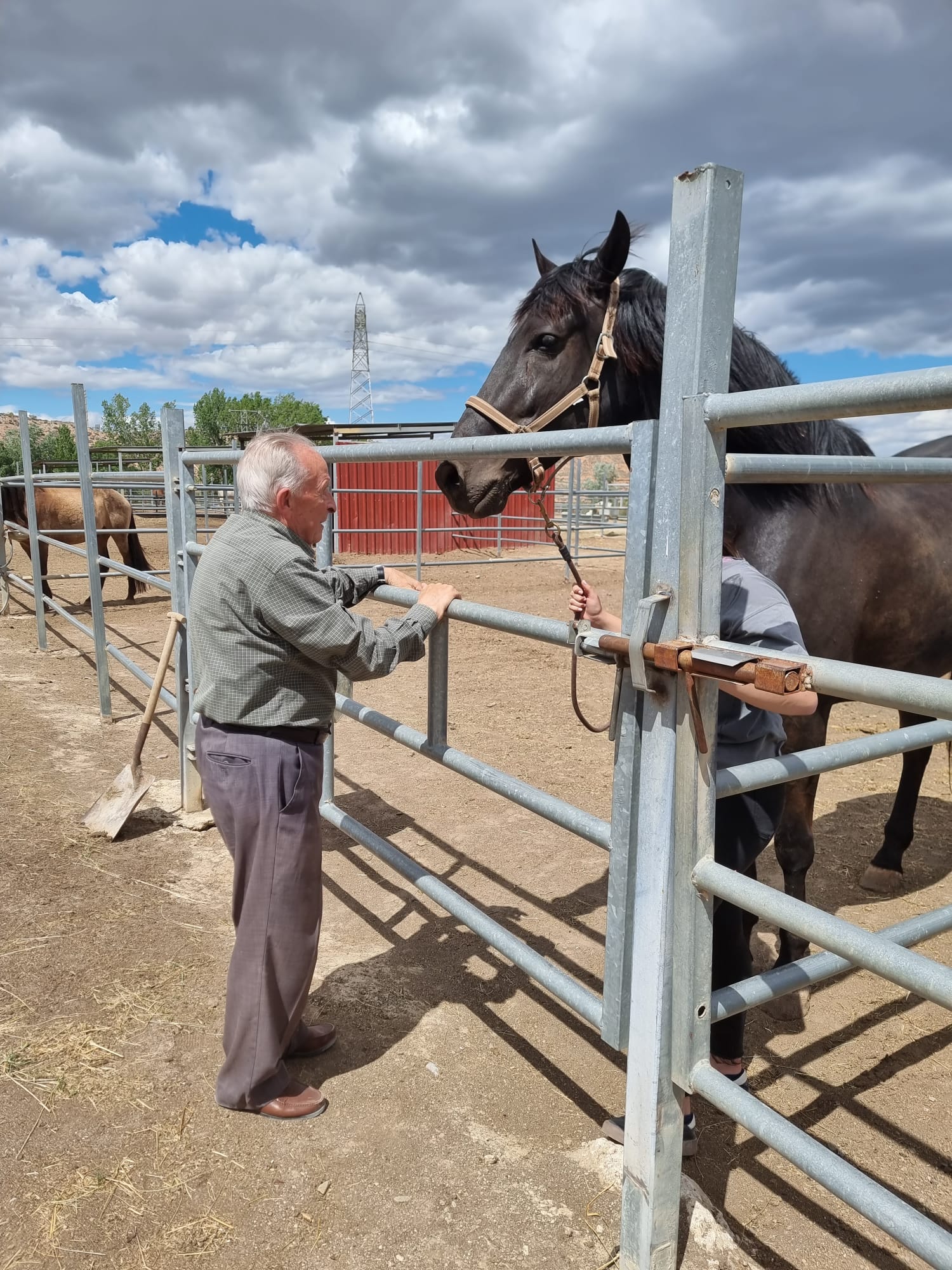 Vitalia entrega el primer premio del concurso nacional de hípica de doma clásica