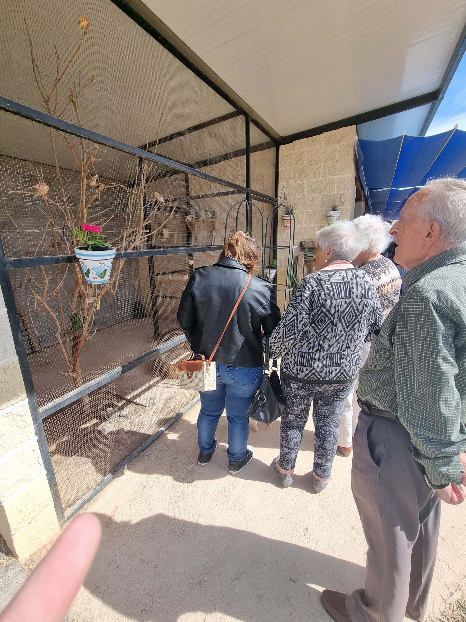 Vitalia entrega el primer premio del concurso nacional de hípica de doma clásica