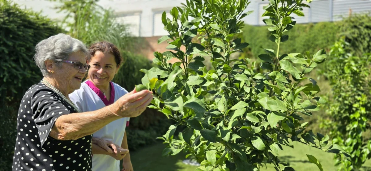 Zonas ajardinadas en la mejor residencia de madrid