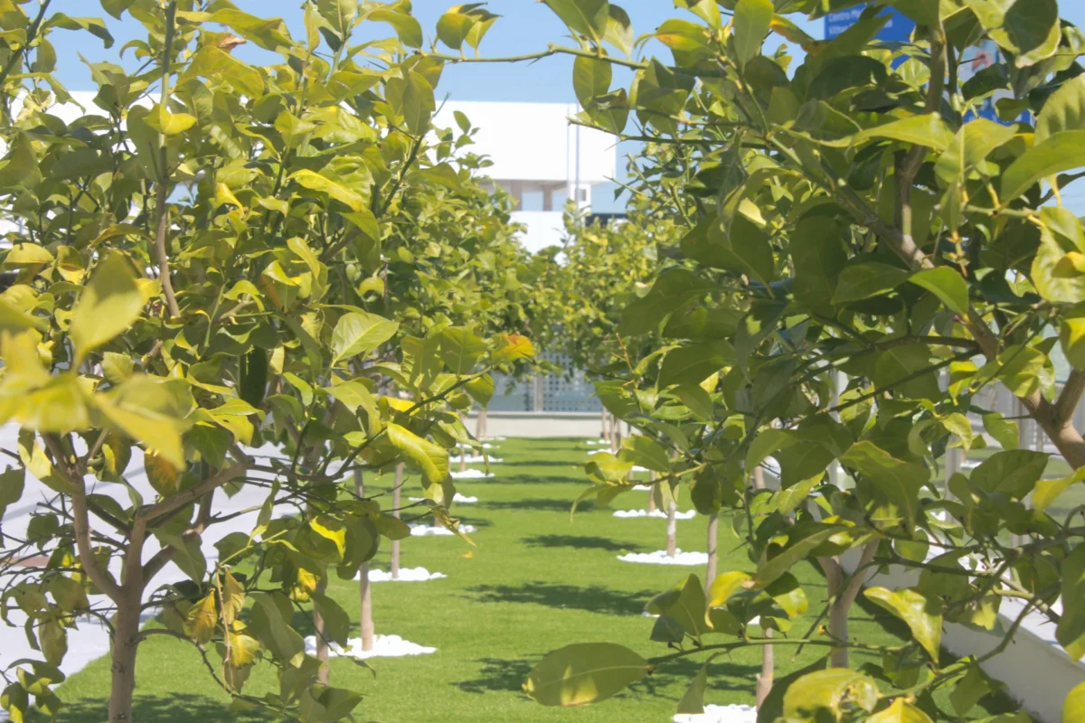 Residencia ancianos Majadahonda_Jardines