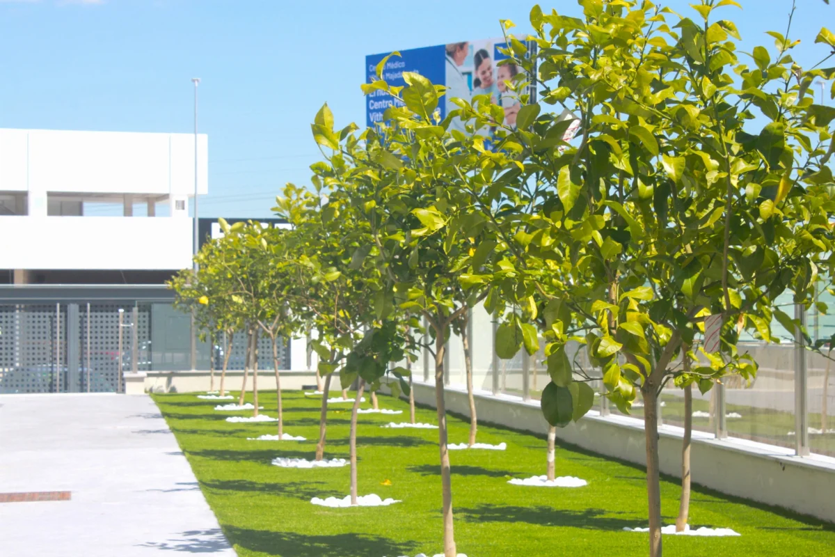 ¡Ayúdanos a bautizar las nuevas "Casas" de Vitalia Gandía y disfruta de una deliciosa comida para dos en El Telero! ¡Tu creatividad tiene premio!