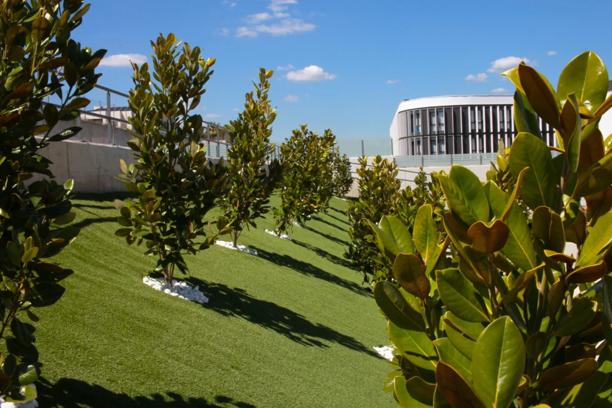 Vitalia Majadahonda: Un nuevo hogar de vanguardia para la tercera edad en Madrid, con rehabilitación Intensiva y atención personalizada