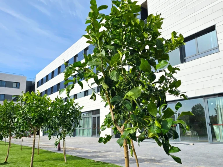 Vitalia Majadahonda abre sus puertas en un acto inaugural, un nuevo estándar en el cuidado de mayores