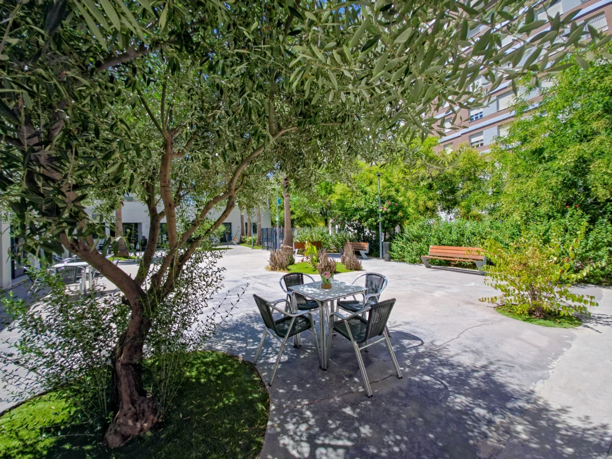 ¡Descubre el renovado Vitalia Kansas! 😍🥳 Una residencia para vivir como en una casa con jardín