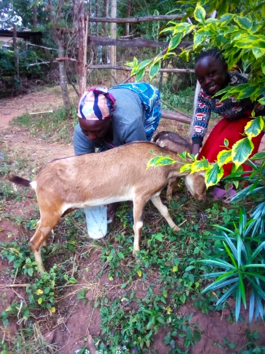 ¡Un vaso de esperanza para Kithunti! La leche de las cabras llega al comedor escolar