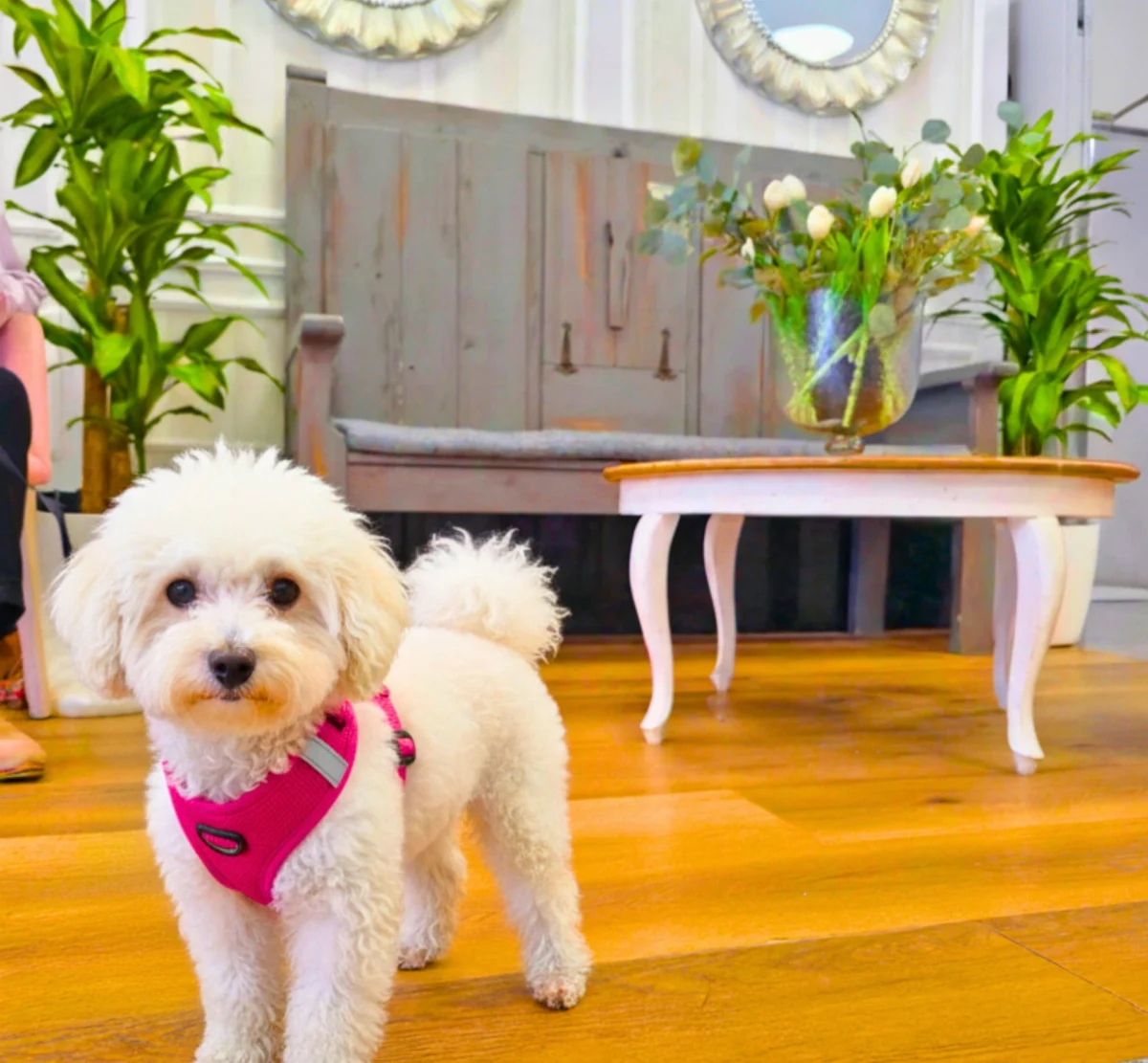 🚀 Impulsa tu carrera en enfermería: El futuro de la neurorrehabilitación y tecnología de vanguardia está en Vitalia.