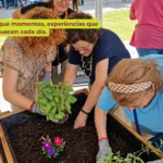 actividades-socioculturales-en-vitalia-toledo